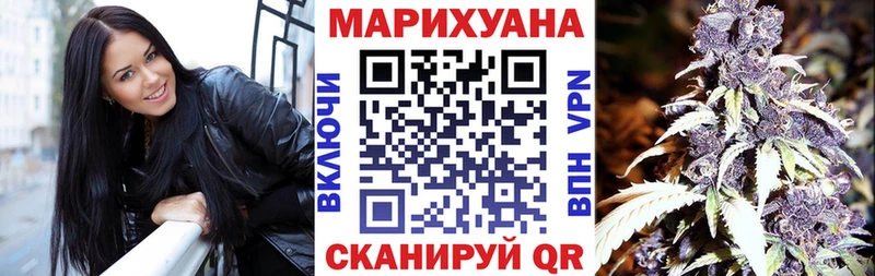 Купить закладки  Апатиты  Бошки Шишки White Widow 